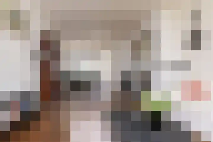 Meerlaan 30 Medemblik thumbnail 10