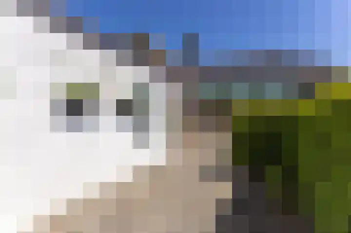 Meerlaan 30 Medemblik thumbnail 28