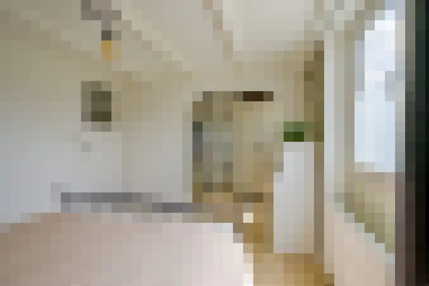 Meerlaan 32 Medemblik thumbnail 22