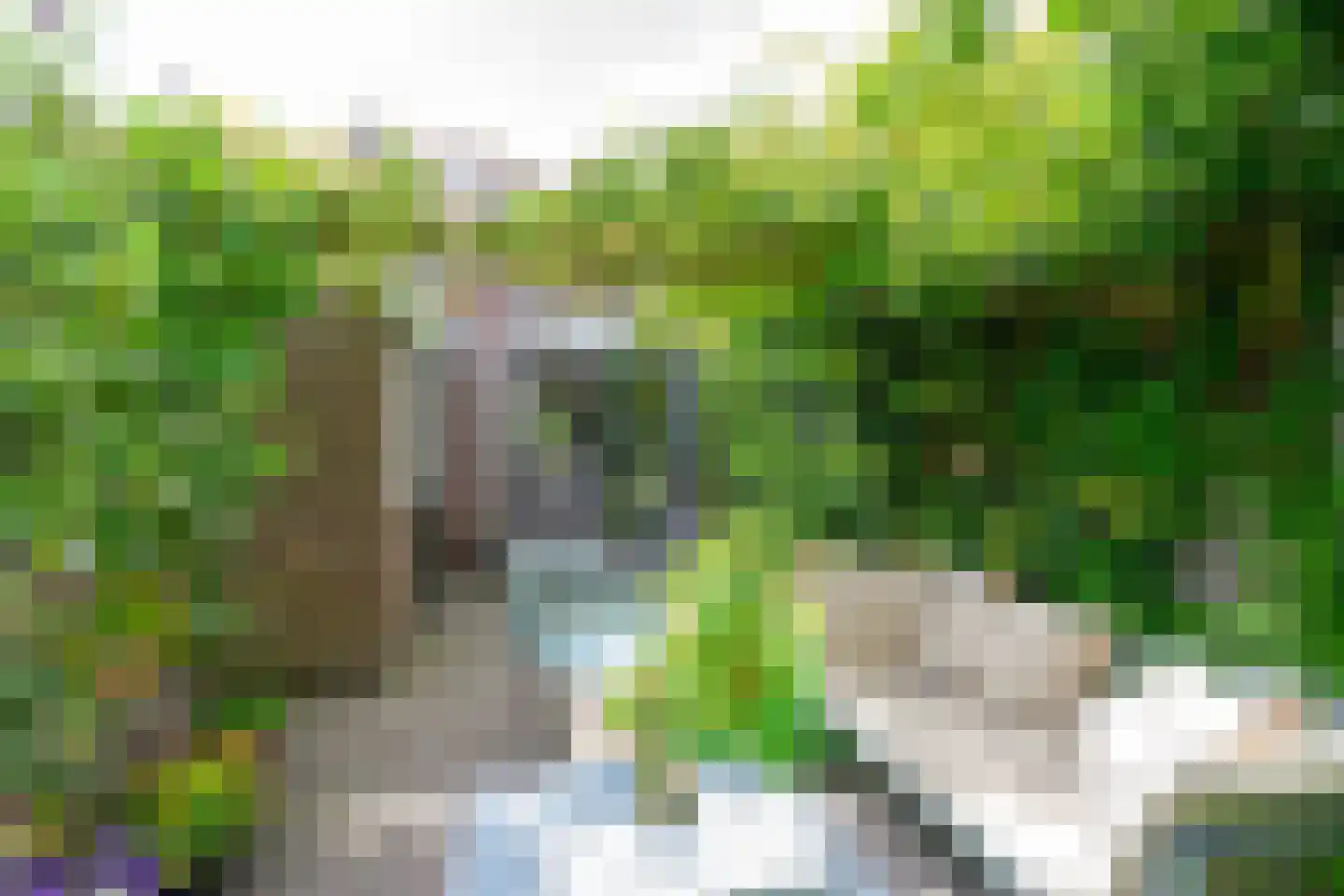 Meerlaan 32 Medemblik thumbnail 34
