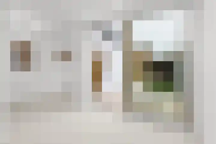 Meerlaan 47 Leidschendam thumbnail 12