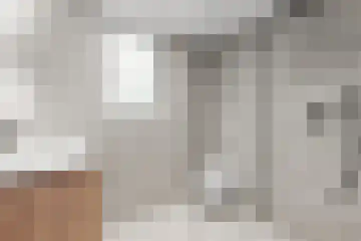 Meerlaan 47 Leidschendam thumbnail 36