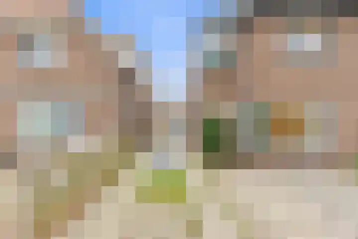 Meerlaan 47 Leidschendam thumbnail 44