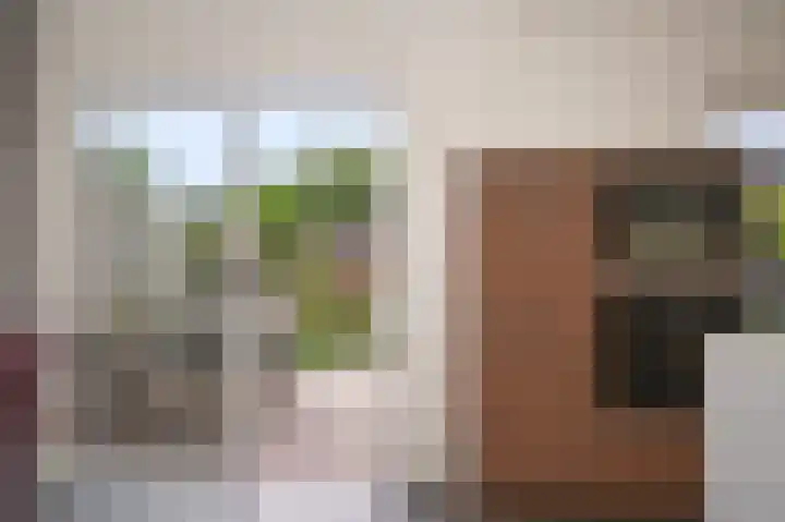 Meerlaan 5 Culemborg thumbnail 13