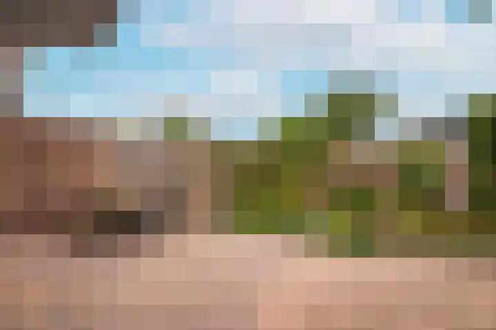 Meerlaan 5 Culemborg thumbnail 38