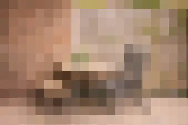 Meerlaan 5 Culemborg thumbnail 39