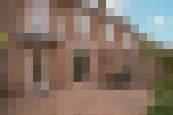 Meerlaan 5 Culemborg thumbnail 40