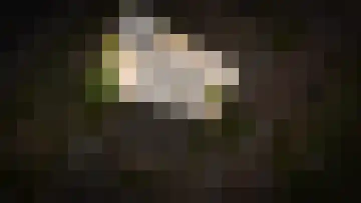 Meerlaan 5 Culemborg thumbnail 50