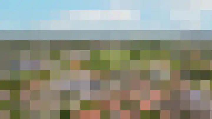 Meerlaan 5 Culemborg thumbnail 53