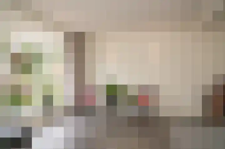 Meerlaan 5 Culemborg thumbnail 7