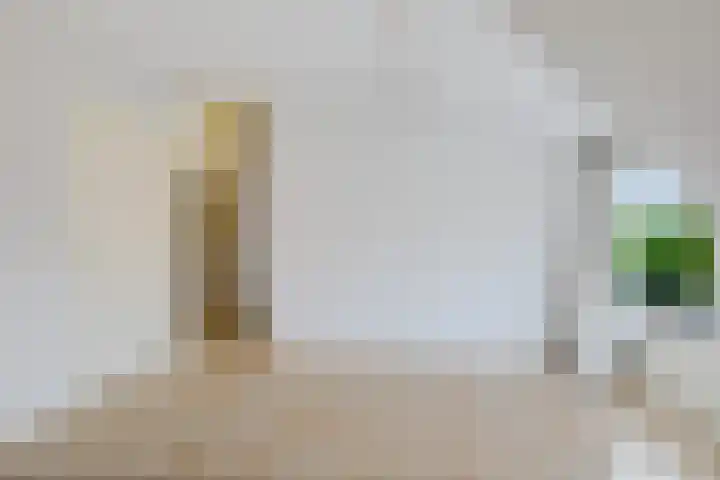 Meerlaan 60 A Hillegom thumbnail 16