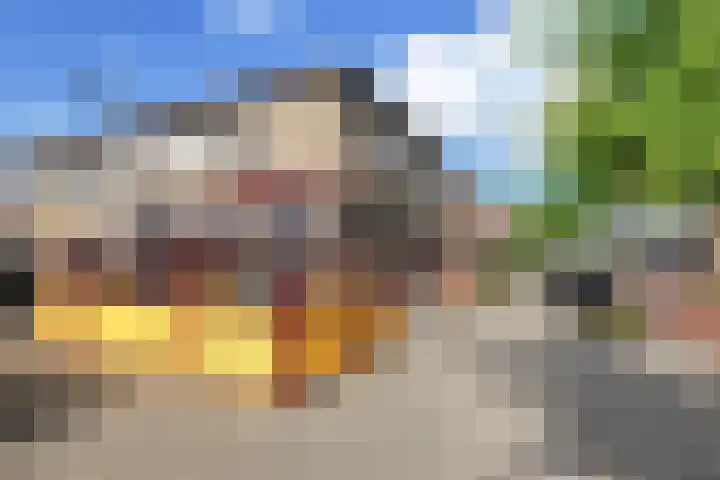 Meerlaan 60 A Hillegom thumbnail 24