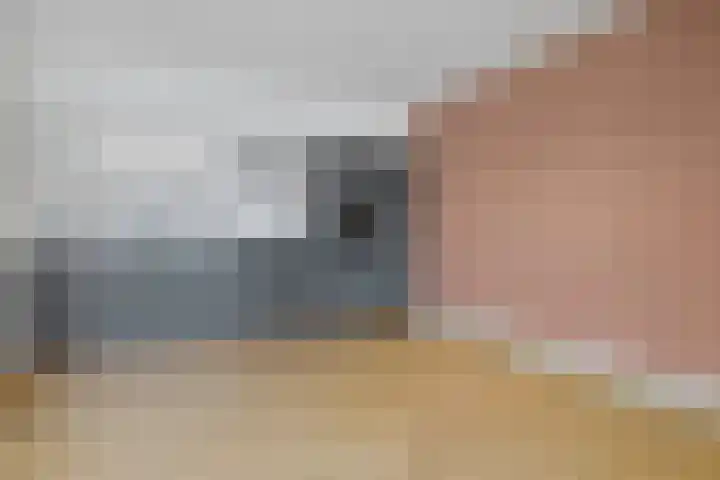 Meerlaan 60 A Hillegom thumbnail 5