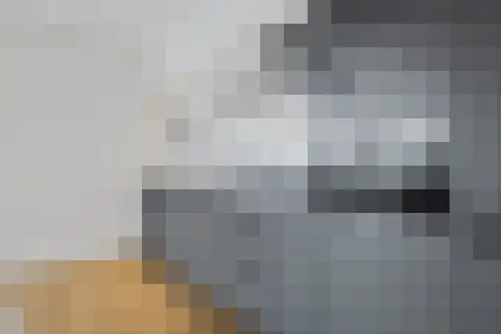 Meerlaan 60 A Hillegom thumbnail 7