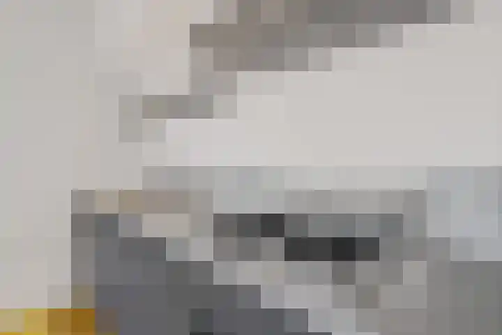 Meerlaan 60 A Hillegom thumbnail 8