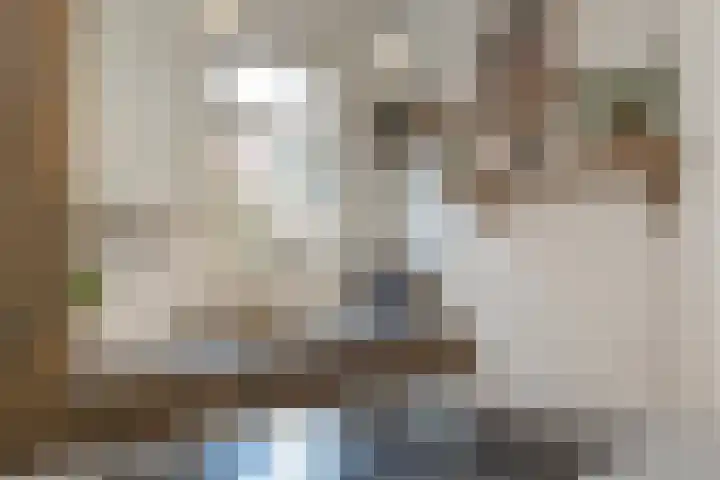 Meerlaan 74 Hillegom thumbnail 19