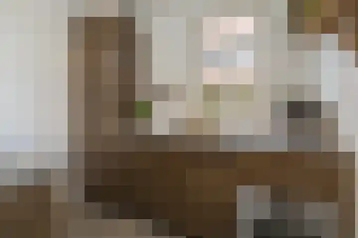 Meerlaan 74 Hillegom thumbnail 20