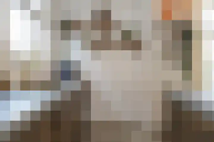 Meerlaan 74 Hillegom thumbnail 21