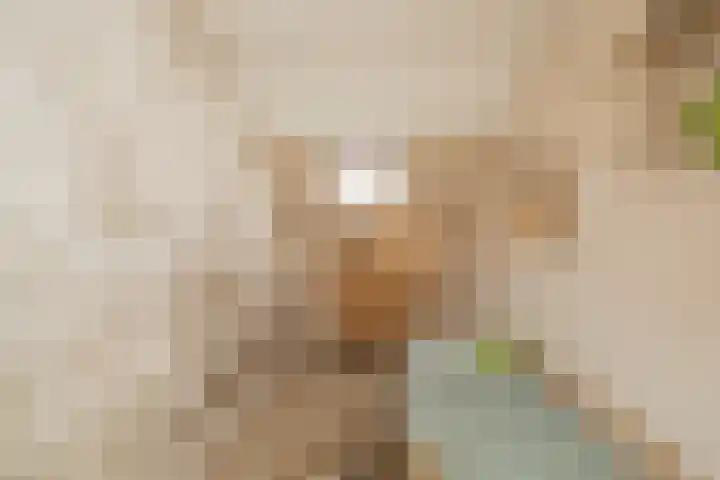 Meerlaan 74 Hillegom thumbnail 32