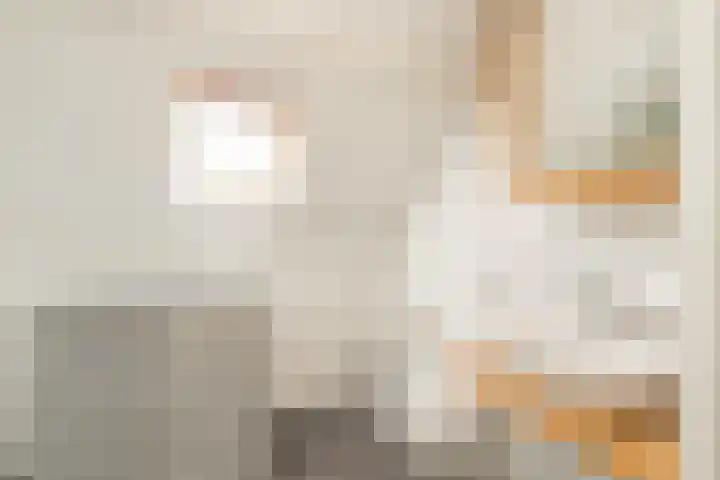 Meerlaan 74 Hillegom thumbnail 39