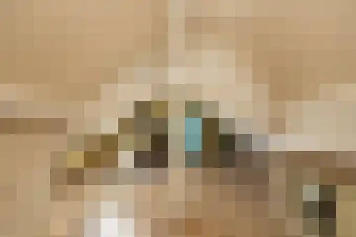 Meerlaan 74 Hillegom thumbnail 46