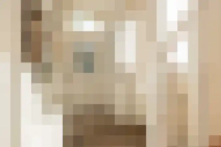 Meerlaan 74 Hillegom thumbnail 5