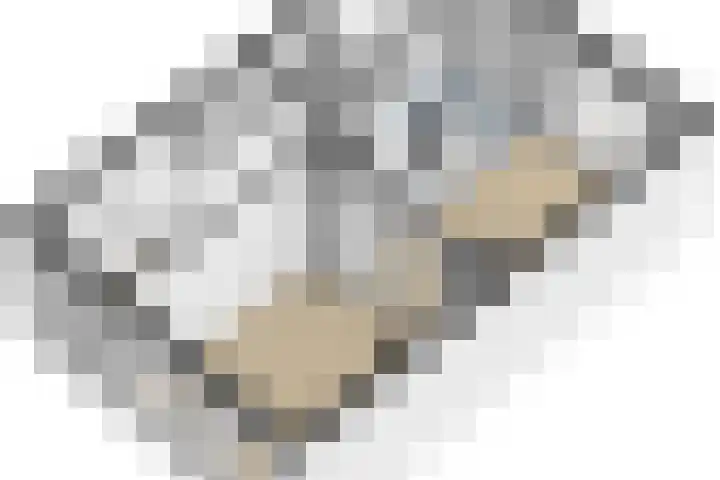 Meerlaan 74 Hillegom thumbnail 52