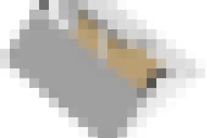 Meerlaan 74 Hillegom thumbnail 56