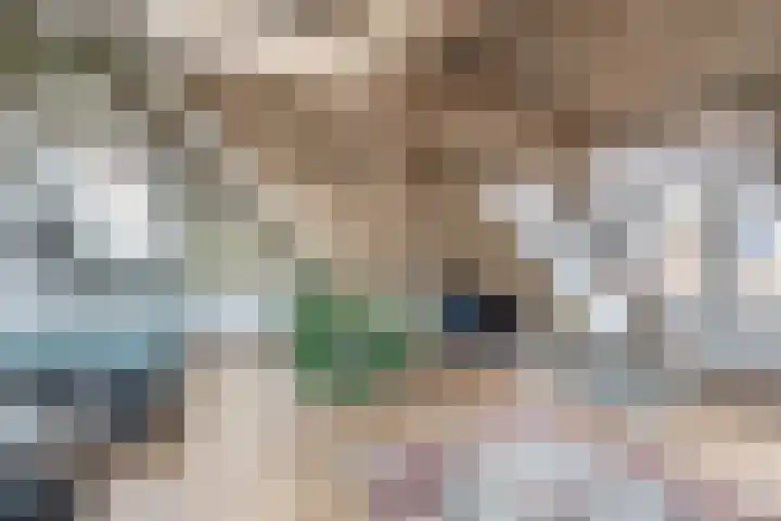 Meerlaan 84 Hillegom thumbnail 22