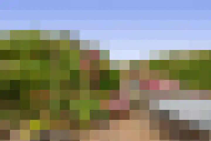 Meerlaan 84 Hillegom thumbnail 25
