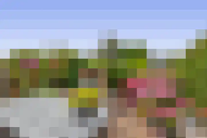 Meerlaan 84 Hillegom thumbnail 26
