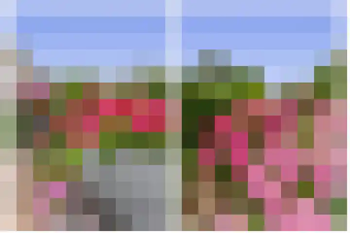 Meerlaan 84 Hillegom thumbnail 27