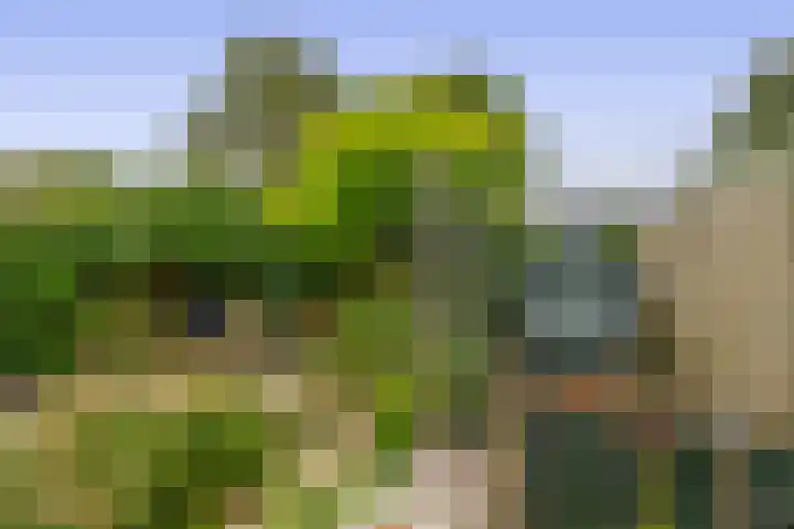 Meerlaan 84 Hillegom thumbnail 28