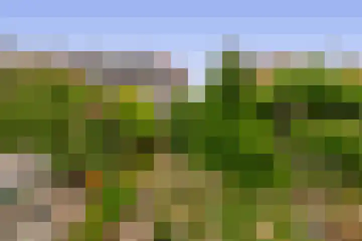 Meerlaan 84 Hillegom thumbnail 29