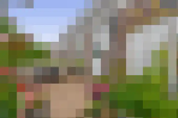 Meerlaan 84 Hillegom thumbnail 30