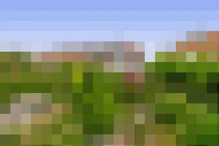 Meerlaan 84 Hillegom thumbnail 33