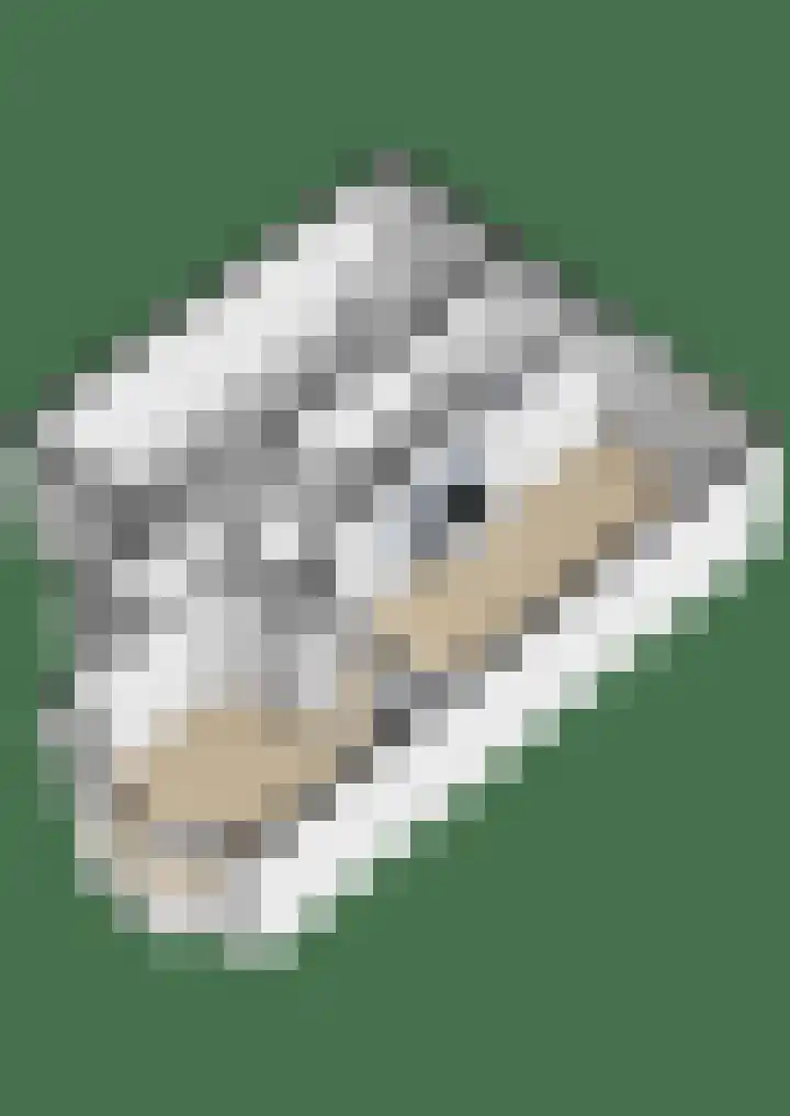 Meerlaan 84 Hillegom thumbnail 45