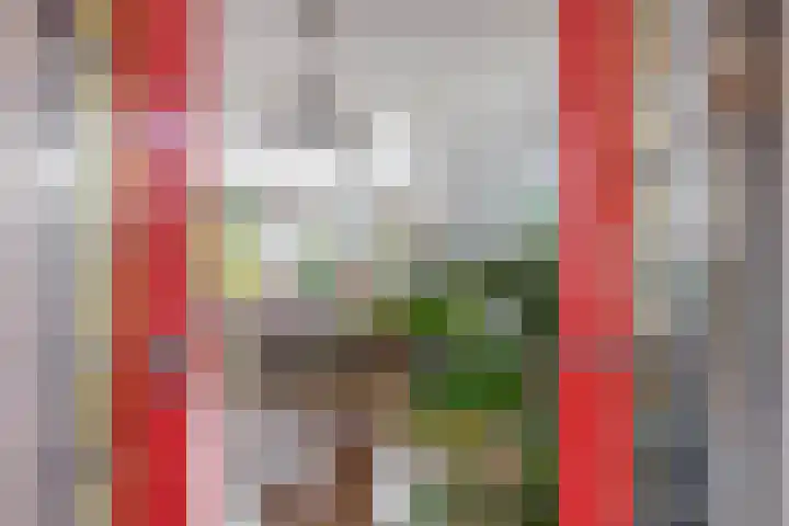 Meerlaan 84 Hillegom thumbnail 5