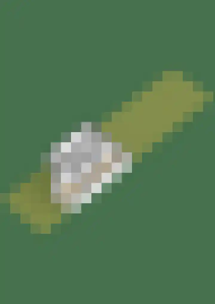 Meerlaan 84 Hillegom thumbnail 51