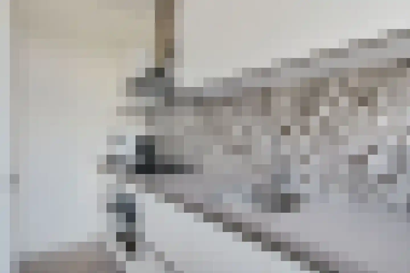Meerlaan 98 Hillegom thumbnail 12