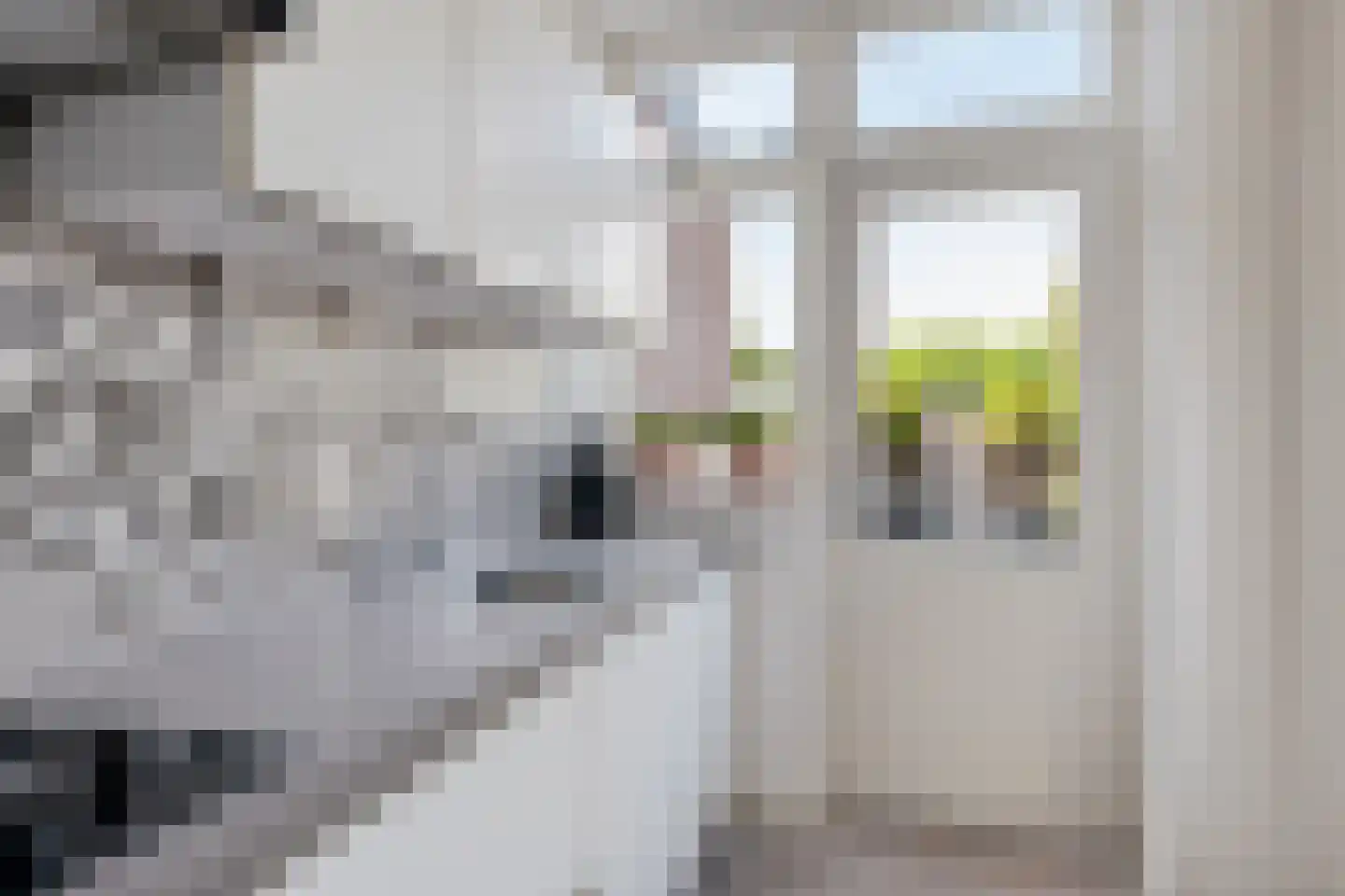 Meerlaan 98 Hillegom thumbnail 13