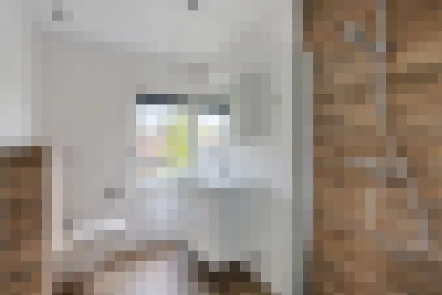 Meerlaan 98 Hillegom thumbnail 23