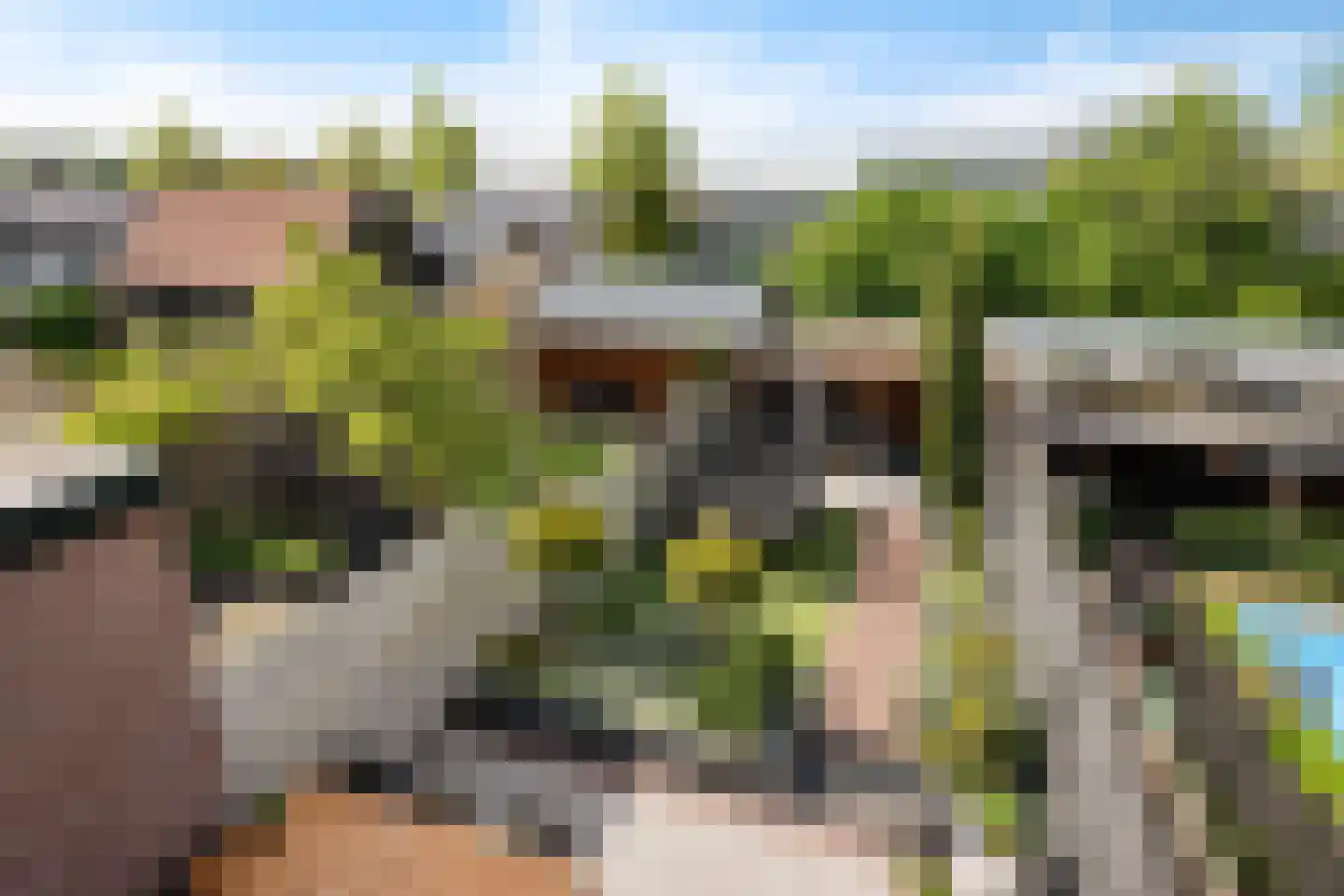 Meerlaan 98 Hillegom thumbnail 30