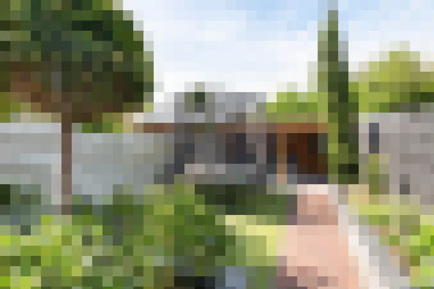 Meerlaan 98 Hillegom thumbnail 33