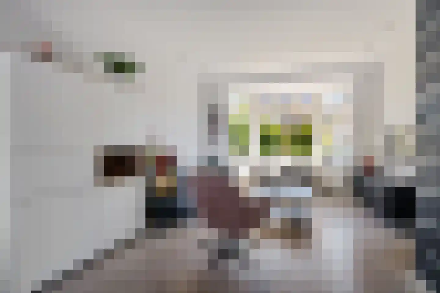 Meerlaan 98 Hillegom thumbnail 5