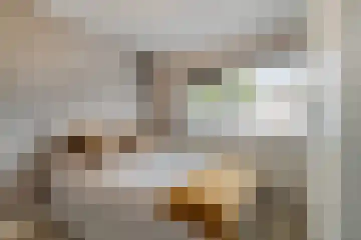 Meerland 32 Purmerend thumbnail 22