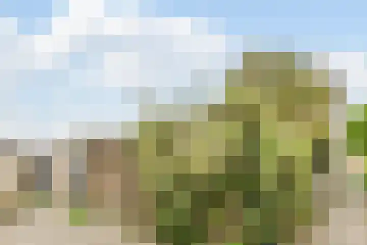 Meerland 66 Purmerend thumbnail 35