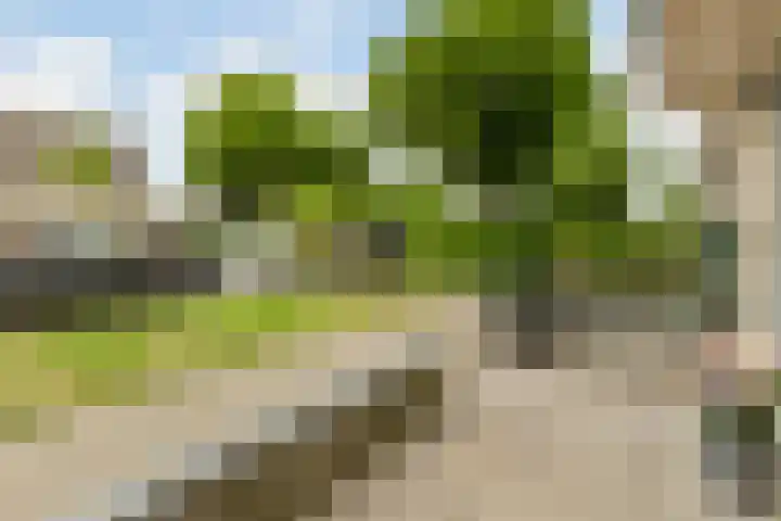 Meerland 66 Purmerend thumbnail 38