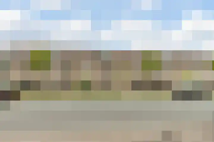 Meerland 66 Purmerend thumbnail 39