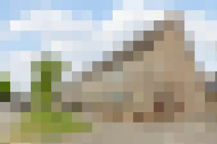 Meerland 66 Purmerend thumbnail 40